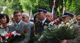 zdjęcie nr 37