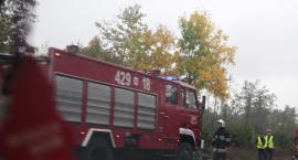 Fotka nr 1 z 8