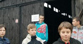 zdjęcie nr 10