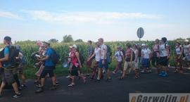zdjęcie nr 104