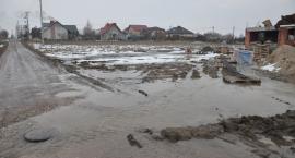 zdjęcie nr 7