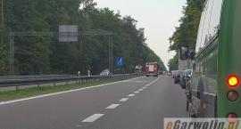 zdjęcie nr 10