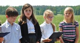 zdjęcie nr 33