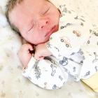 zdjęcie nr 12