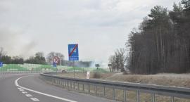 Fotka nr 0 z 43