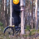 Fotka nr 2 z 4