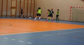 Fotka nr 1 z 13