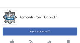 Fotka nr 2 z 6