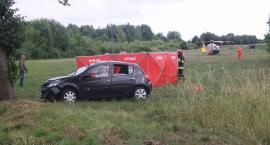 zdjęcie nr 12
