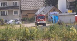 zdjęcie nr 7