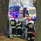 zdjęcie nr 17