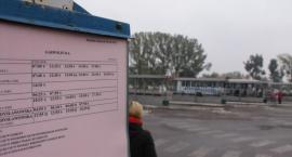 zdjęcie nr 8