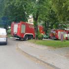 Fotka nr 1 z 5