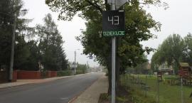 zdjęcie nr 7