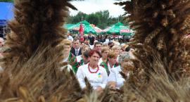 zdjęcie nr 45