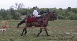 zdjęcie nr 116