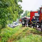 Fotka nr 2 z 4