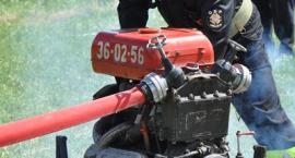 zdjęcie nr 45