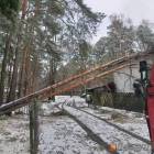 zdjęcie nr 11