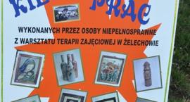 zdjęcie nr 117