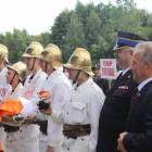 zdjęcie nr 235