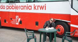 zdjęcie nr 42