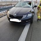 Fotka nr 1 z 4