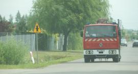 Fotka nr 4 z 14