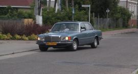 zdjęcie nr 12