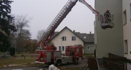 Fotka nr 3 z 4