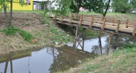 zdjęcie nr 8