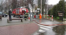 zdjęcie nr 8