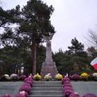 zdjęcie nr 32