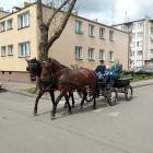 zdjęcie nr 38
