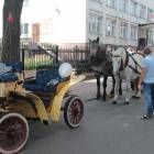 zdjęcie nr 142