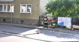 Fotka nr 1 z 9