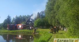 zdjęcie nr 8