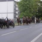 zdjęcie nr 95