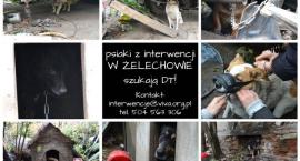 Fotka nr 4 z 5