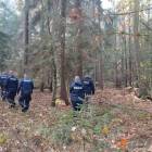 Fotka nr 1 z 16