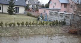 zdjęcie nr 15