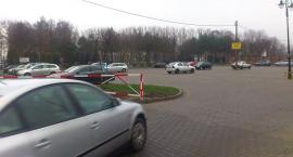 zdjęcie nr 10