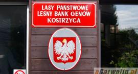 zdjęcie nr 53
