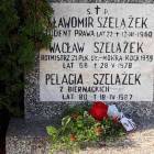 zdjęcie nr 47