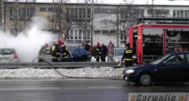 Fotka nr 2 z 11