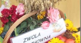 zdjęcie nr 49