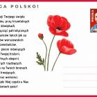 zdjęcie nr 34
