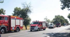 zdjęcie nr 17