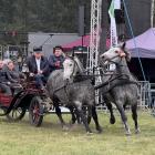 zdjęcie nr 9