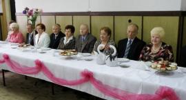 zdjęcie nr 15